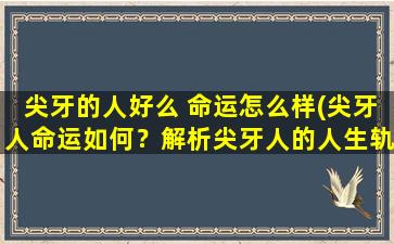 尖牙的人好么 命运怎么样(尖牙人命运如何？解析尖牙人的人生轨迹。)